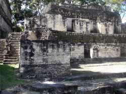 21 section of palace in tikals main acropolis