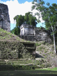 23 partially restored mayan buildings at tikal