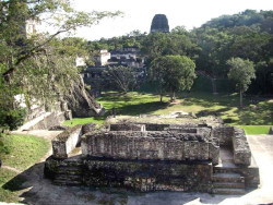 31 corner of the main acropolis at tikal in guatemala