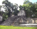 44 small temple in ruins at tikal