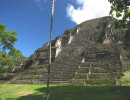 7 excavated mayan pyramid at tikal