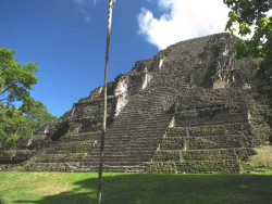 7 excavated mayan pyramid at tikal