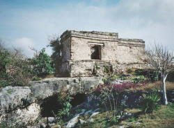 3 still standing after all these years of wind and rain