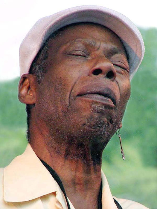 walter  wolfman  washington